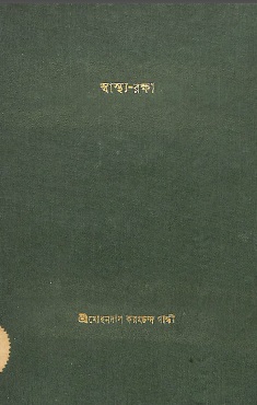 Image Description